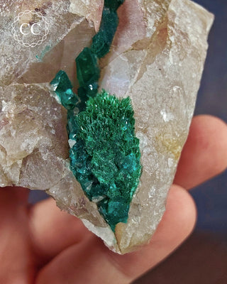Dioptase Specimen #5