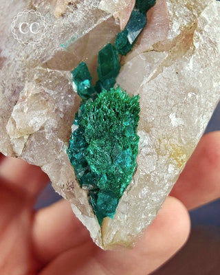 Dioptase Specimen #5