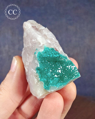 A hand holding a Dioptase specimen from Namibia 