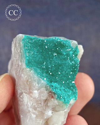 Dioptase Specimen #6