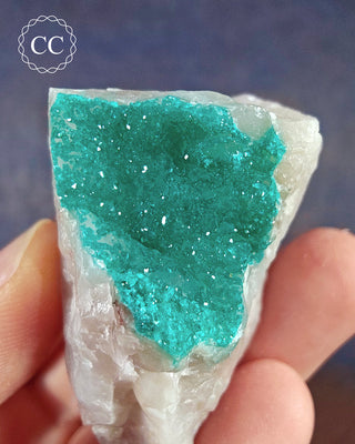 Dioptase Specimen #6