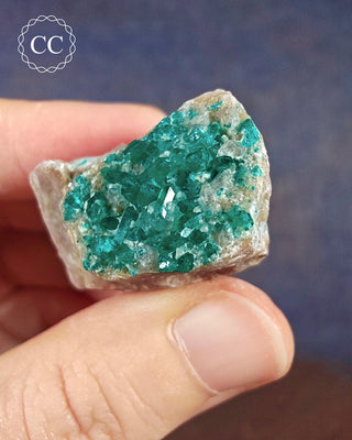 Dioptase Specimen #7