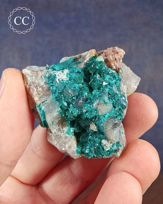 A hand holding a Dioptase specimen from Namibia 