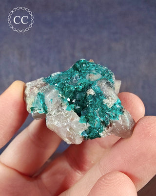 Dioptase Specimen #8