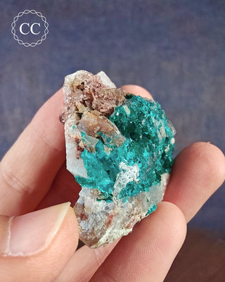 Dioptase Specimen #8