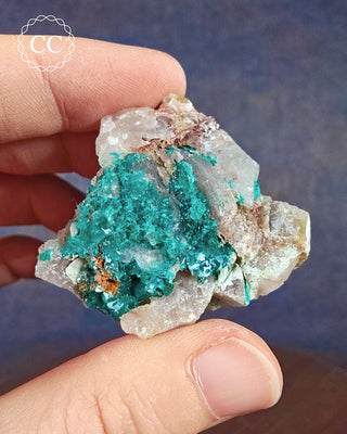 Dioptase Specimen #8