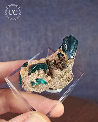 A Dioptase specimen on a clear display box being held by a hand