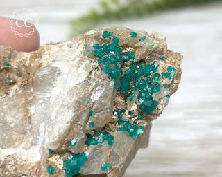 Dioptase Specimen - Namibia #7