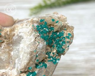 Dioptase Specimen - Namibia #7