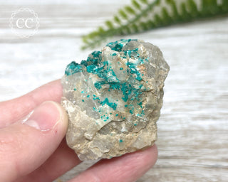 Dioptase Specimen - Namibia #11