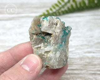 Dioptase Specimen - Namibia #11