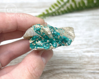 Dioptase Specimen - Namibia #11