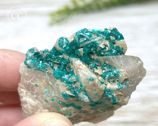 Dioptase Specimen - Namibia #11