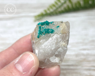 Dioptase Specimen - Namibia #12