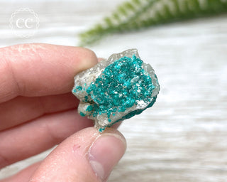 Dioptase Specimen - Namibia #14