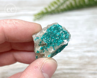 Dioptase Specimen - Namibia #14