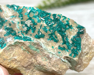 Dioptase Specimen - Namibia #2