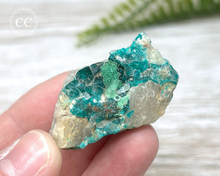 Dioptase Specimen - Namibia #15