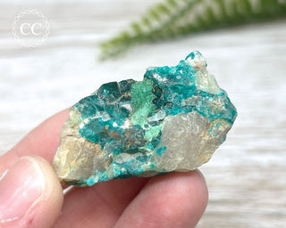 Dioptase Specimen - Namibia #15