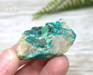 Dioptase Specimen - Namibia #15