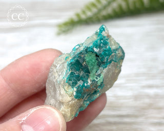 Dioptase Specimen - Namibia #15