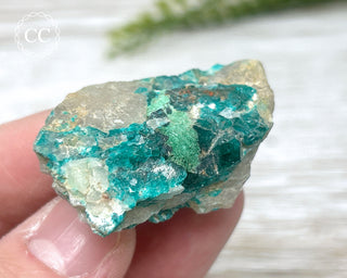 Dioptase Specimen - Namibia #15