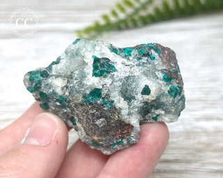 Dioptase Specimen - Namibia #16