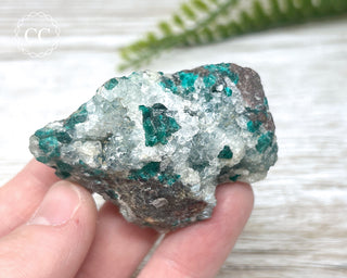 Dioptase Specimen - Namibia #16