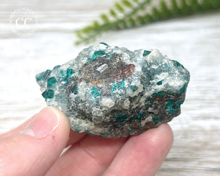 Dioptase Specimen - Namibia #16