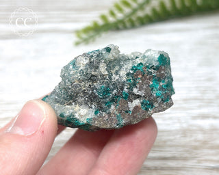 Dioptase Specimen - Namibia #16