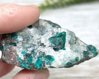 Dioptase Specimen - Namibia #16