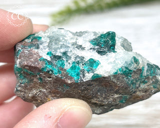 Dioptase Specimen - Namibia #16