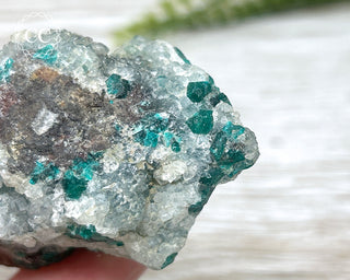 Dioptase Specimen - Namibia #16