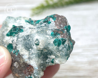 Dioptase Specimen - Namibia #16