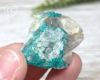 Dioptase Specimen - Namibia #17