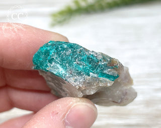 Dioptase Specimen - Namibia #17