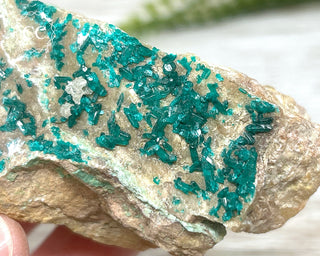 Dioptase Specimen - Namibia #2