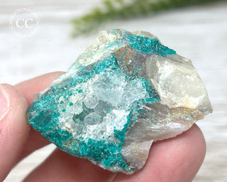 Dioptase Specimen - Namibia #17