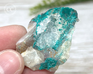 Dioptase Specimen - Namibia #17