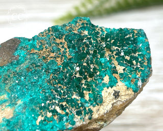 Dioptase Specimen - Namibia #4