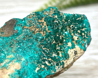 Dioptase Specimen - Namibia #4