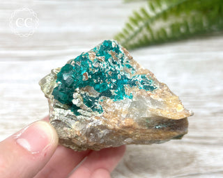 Dioptase Specimen - Namibia #5