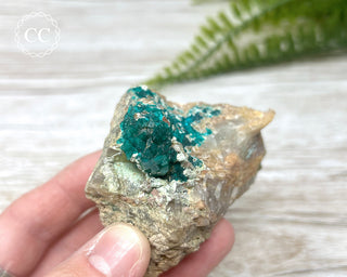 Dioptase Specimen - Namibia #5