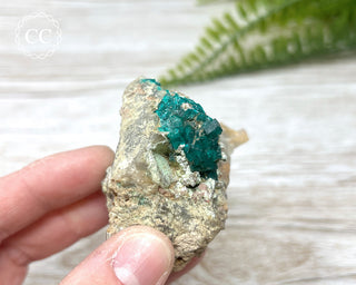 Dioptase Specimen - Namibia #5