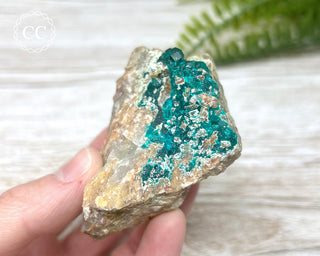 Dioptase Specimen - Namibia #5