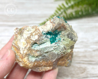 Dioptase Specimen - Namibia #5