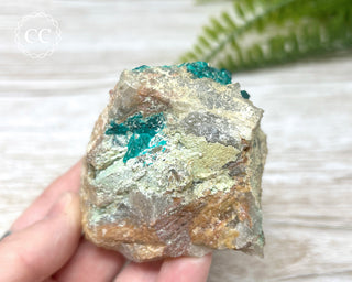 Dioptase Specimen - Namibia #5