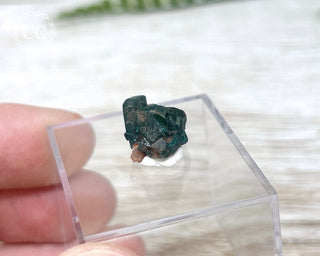 Dioptase #10