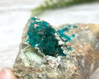 Dioptase Specimen - Namibia #5