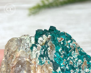 Dioptase Specimen - Namibia #5